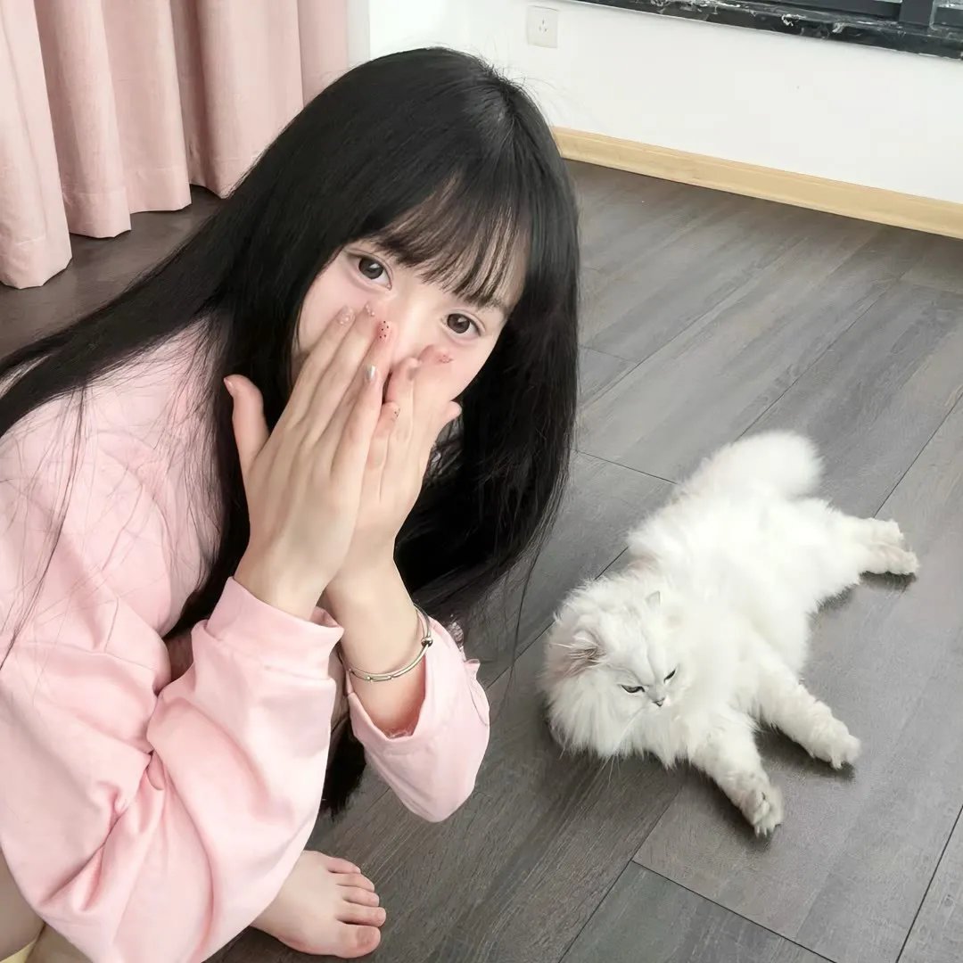 科搜研之女2022